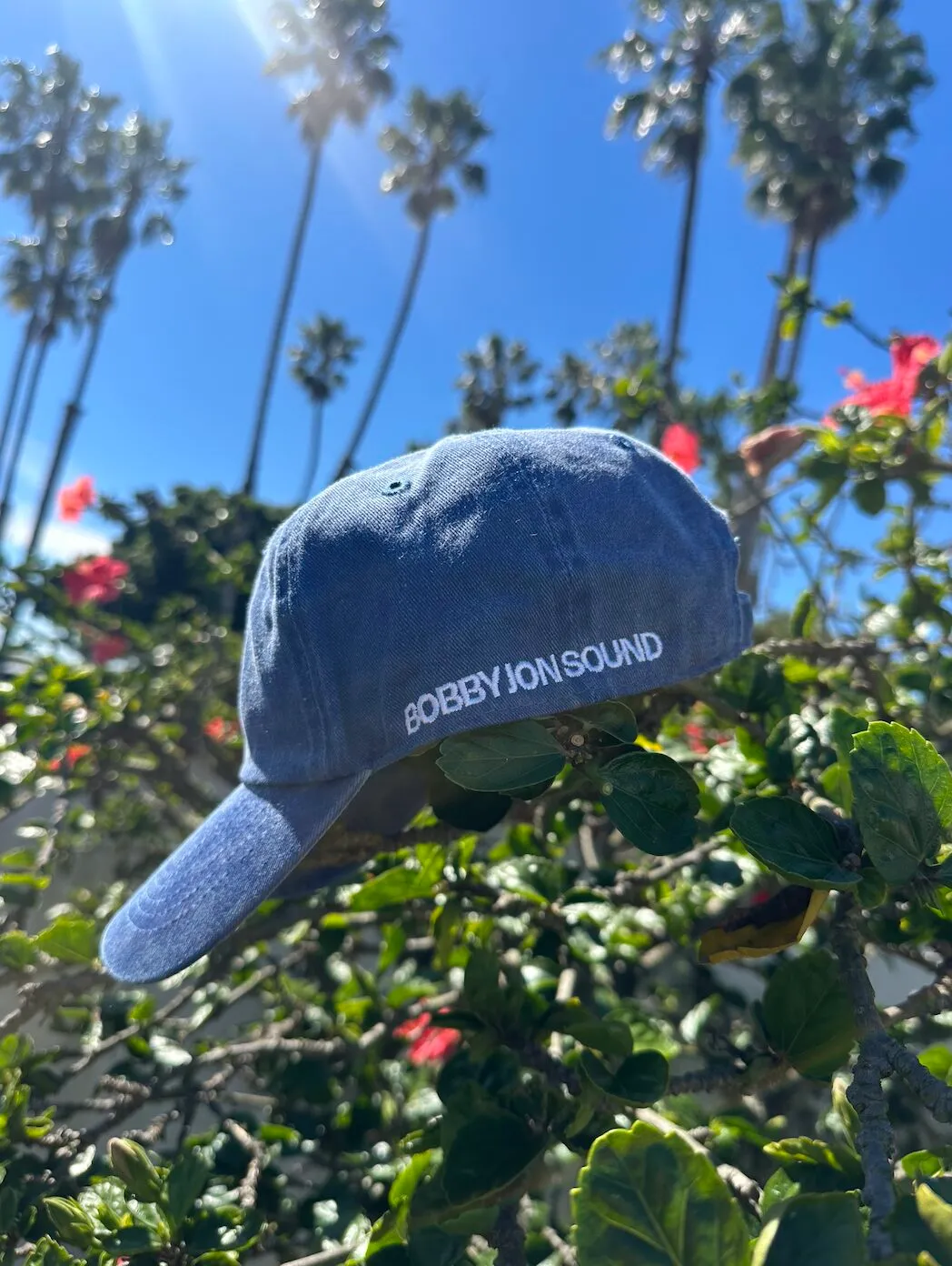 BJS Blue Hat (side)